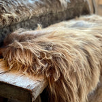 Rare Breed Long Haired Sheepskin